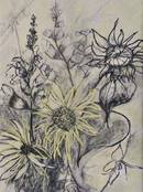 Wiesenblumen Kohle_Pastell auf Papier 30x40 cm 2007